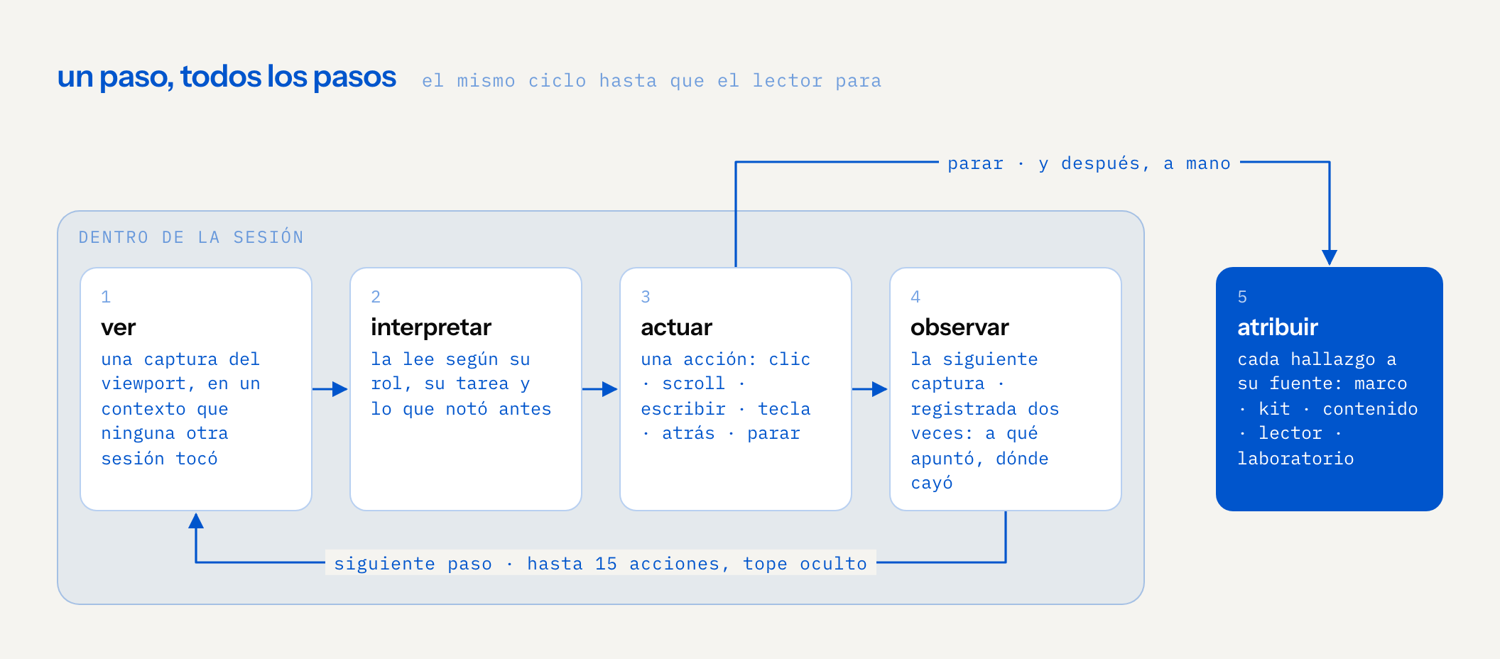 ciclo de cuatro pasos dentro de una sesión: ver una captura, interpretarla según rol y tarea, actuar con una sola acción, observar la siguiente captura registrando a qué apuntó y dónde cayó, y de vuelta a ver, hasta 15 acciones con el tope oculto. cuando el lector para, un quinto paso ocurre después, a mano: cada hallazgo se atribuye al marco, al kit de componentes, al contenido, al lector o al laboratorio
